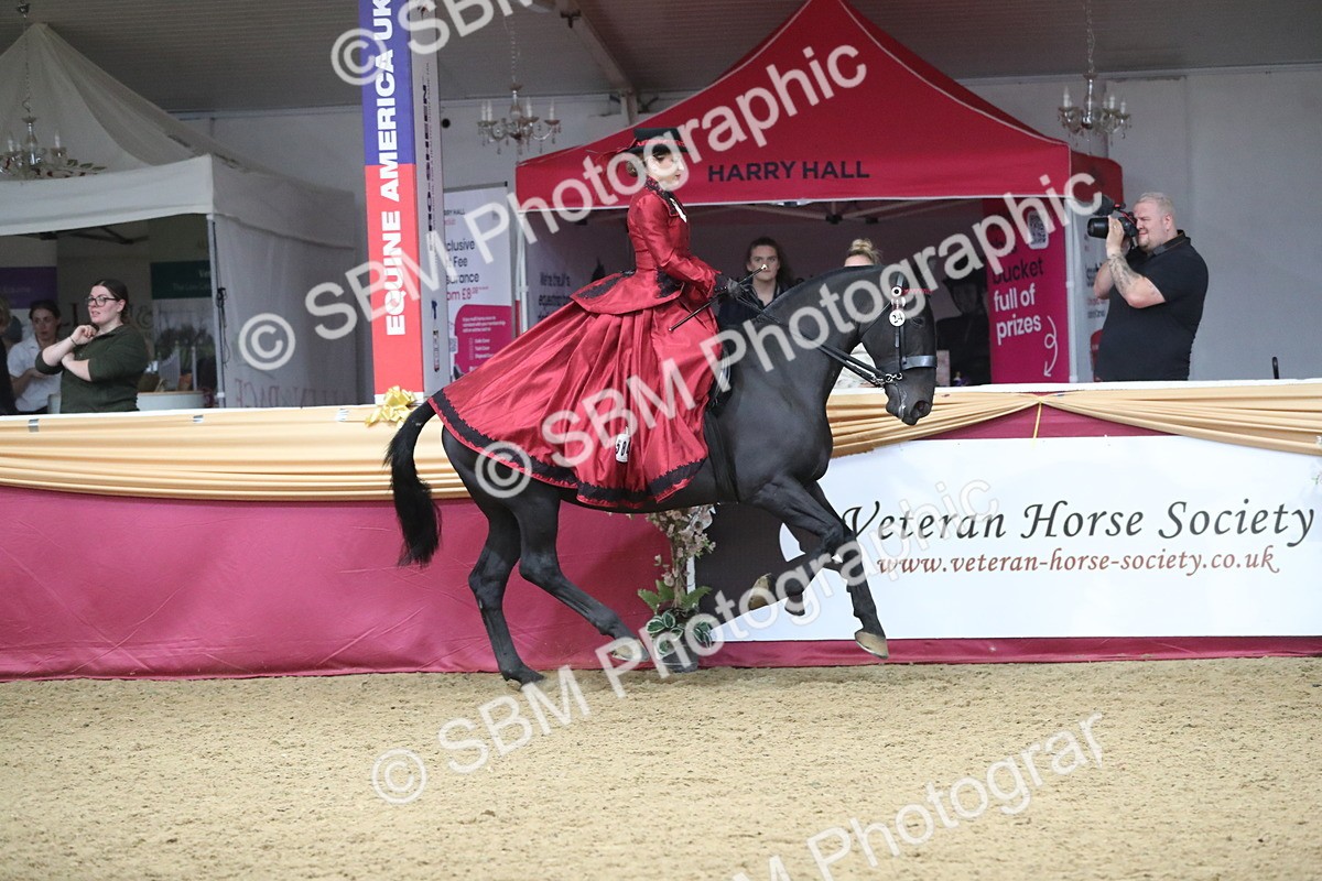 SBM_12143 - Class 107 Ridden Costume- Astride Adult (20+)