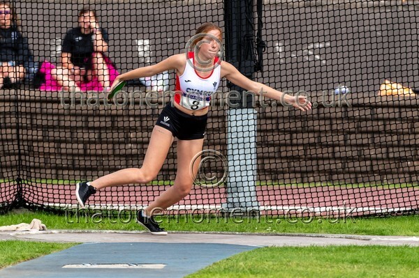 SIAB23-528771 - Field Female Set Two