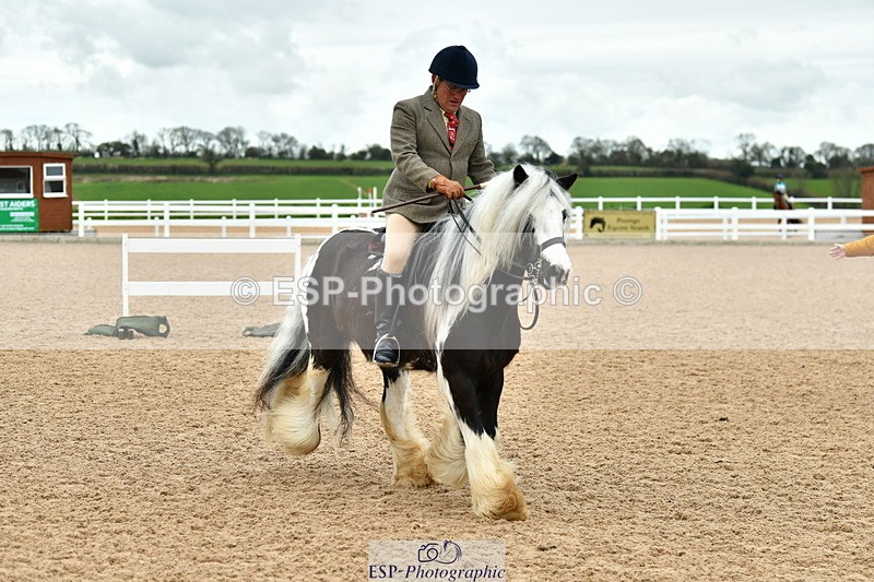 230416A-115534-04233 - Cls 72+73+69 Welsh, Trad Cob and Foreign