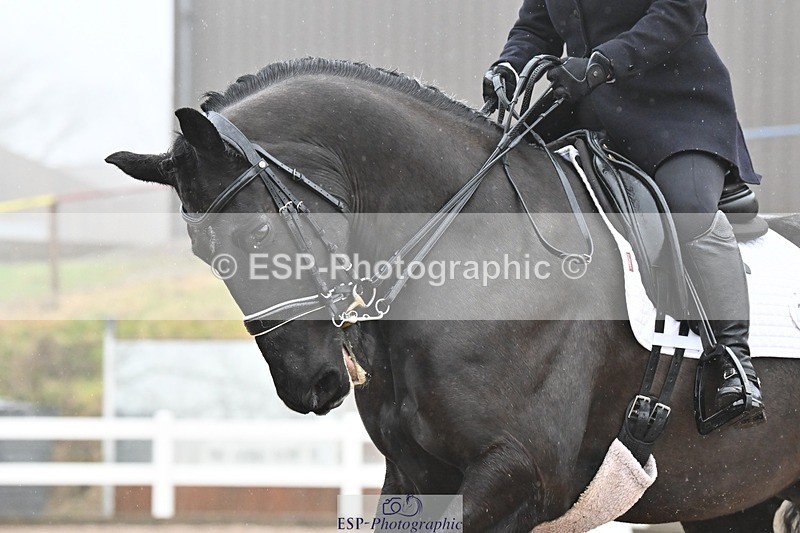 250215-103436-03056 - 244-Suzanne.Clark-Ballinamurra.Billy