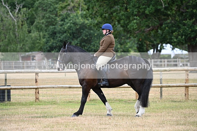WJ6_3776 - Class 9 Tack & Turnout