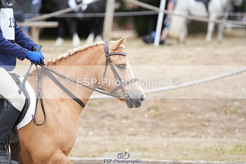 250820A-111340-04200 - Round 2, 10.45 to 11.45 Break