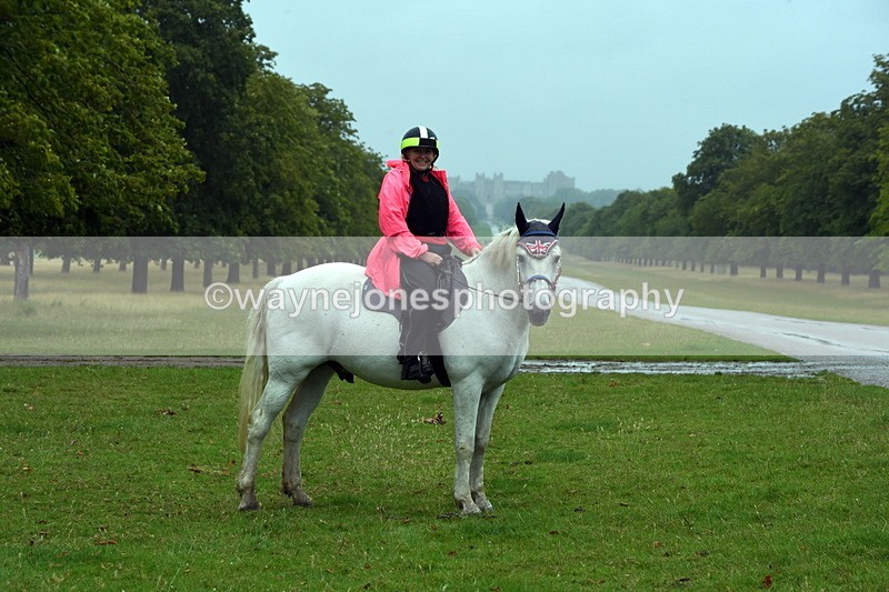 TT3_8044 - Time at Crossing 09:15 to 10:15