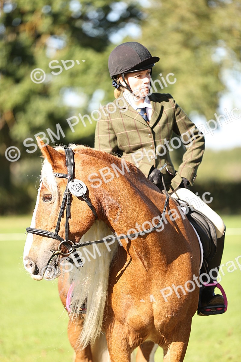 SBM_16857 - S2 - TSR Ridden Pony Showing