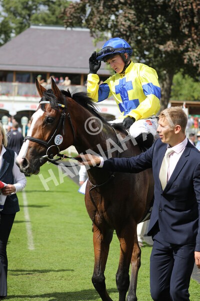 yr20082022r2-51 - Race 2 2.35pm Sky Bet Melrose Stakes