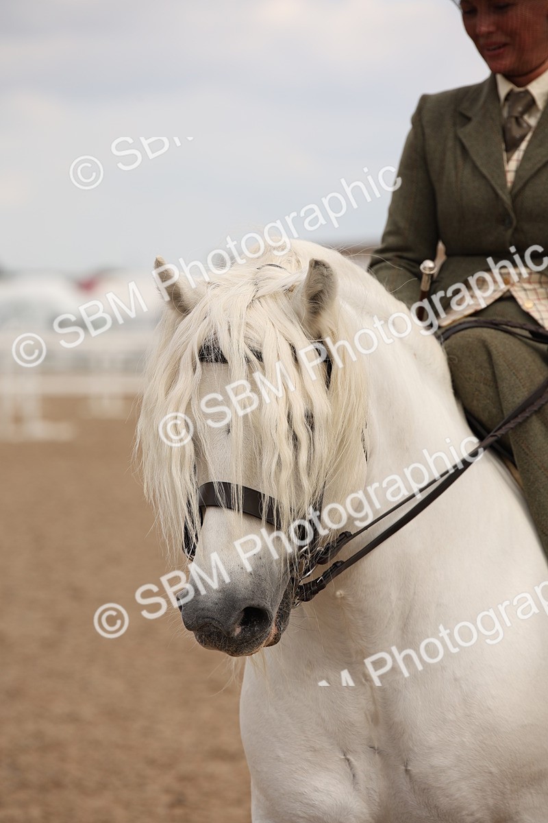 SBM_05408 - Class 22 SSA Equitation