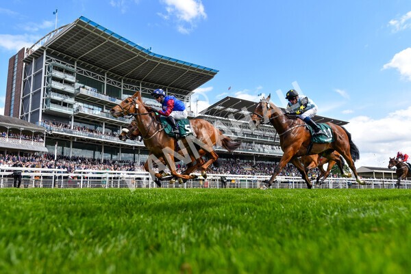 yr12052022r3-32 - Race 3 3.00pm The Paddy Power Hambleton Stakes