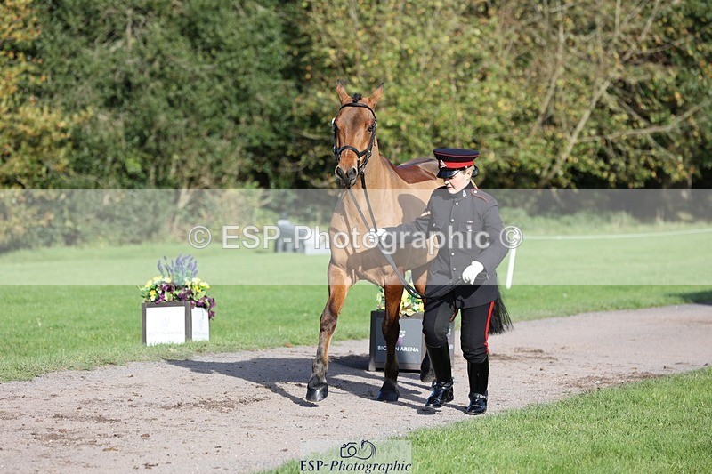 241027-101705-15786 - 516-L.Bdr.Ellie.Mitchell-MICRON.JOY