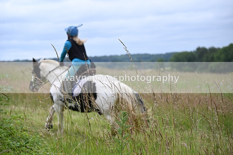 WJ6_8157 - Camera 1 Gallops