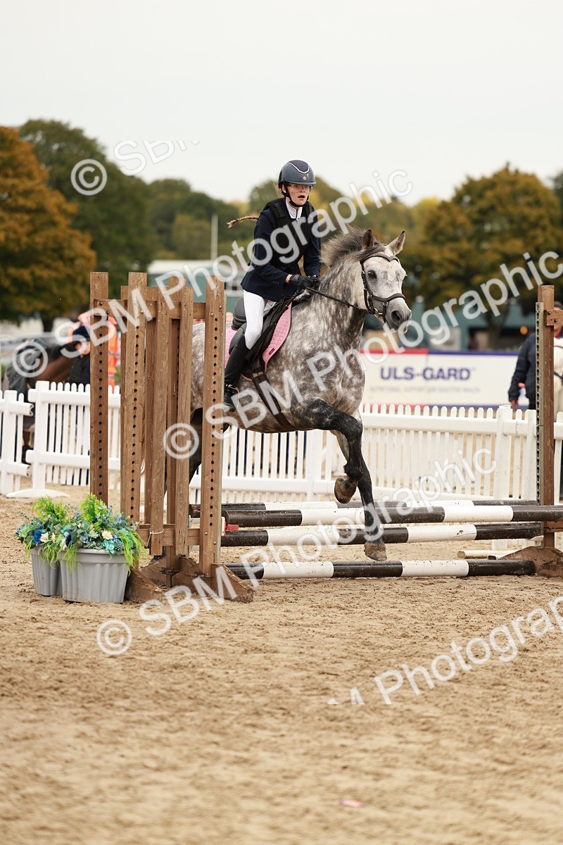 SBM_57991 - J11 - Junior Pony 50cm Championship