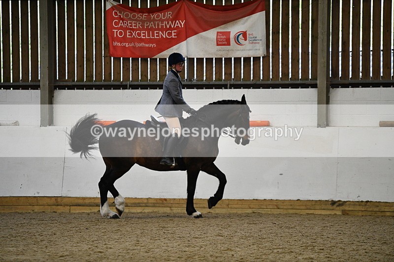 WJ5_7764 - Class 13 Ridden Part Breed