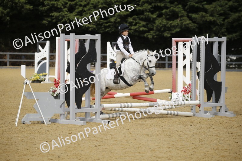 20250622-1526 - 40cm