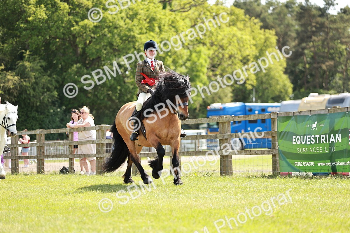 SBM_07221 - Class 26-30 - Mountain and Moorland Ridden