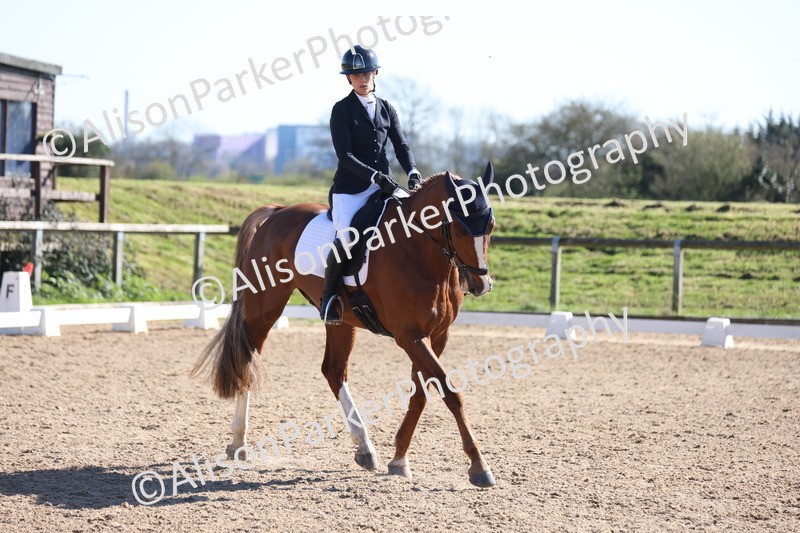 20260318-0645 - Class 6 - Novice 3