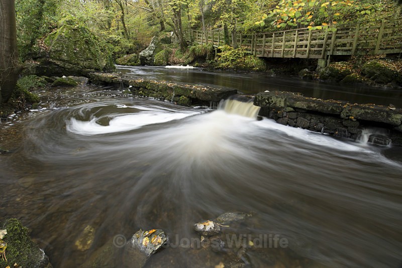 LLangefni Weir. Anglesey, North Wales - ANGLESEY @ NORTH WALES LANDSCAPE PHOTOGRAPHY
