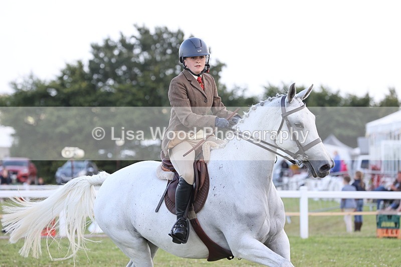 JPP_3640 - Class 24: Open Working Hunter