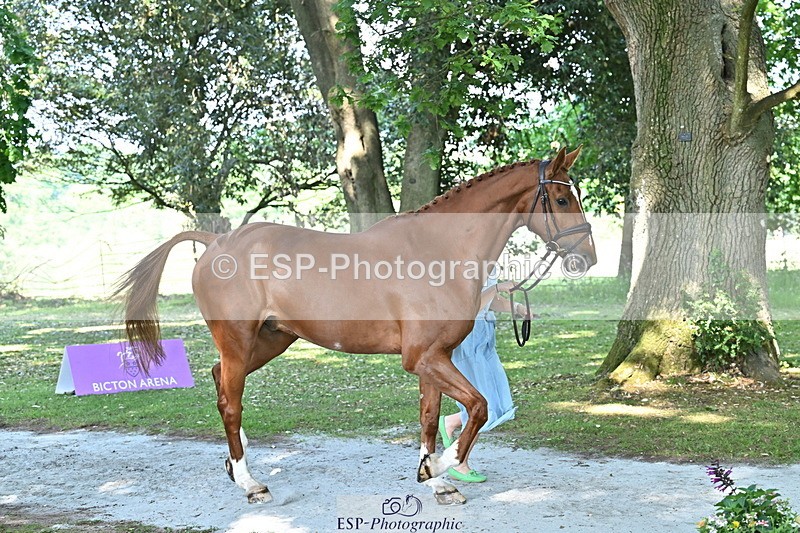 250521A-161558-01024 - C-261-Danielle.Dunn-ICI.DOR.DE.DONNA.CADANZA.Z