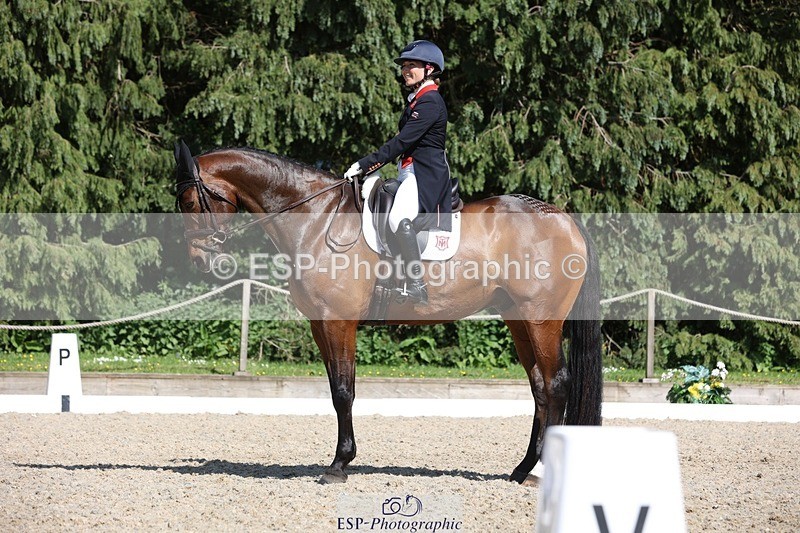 230526-160838-07764 - 168-PARKFIELD_ARTIE_BLOU-Laura_Collett-WEDTrotUp+DR