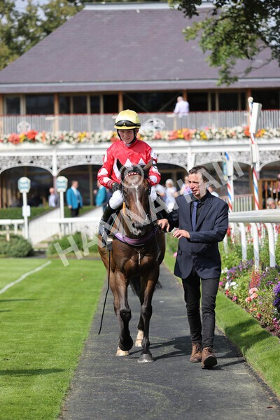 yr05092021rP-61 - Pony Races 138 and 148 cm