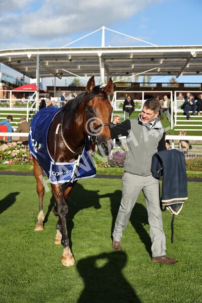 yr08102022r5-60 - Race 5 3.50pm The Coral Committed To Safer Gambling EBFStallions.com Maiden Stakes