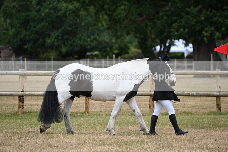WJ6_4160 - Class 10 Coloured In-hand