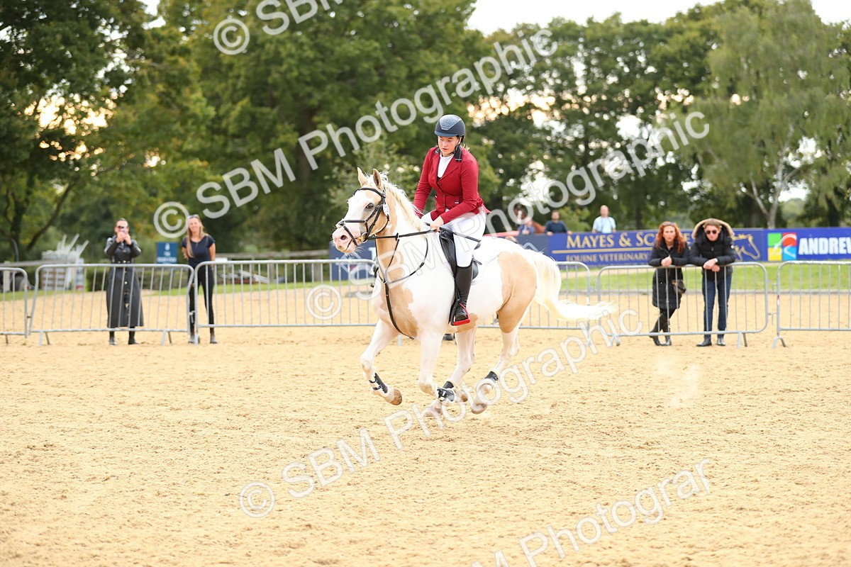 SBM_76204 - J19 - Junior 90cm Supreme Championship