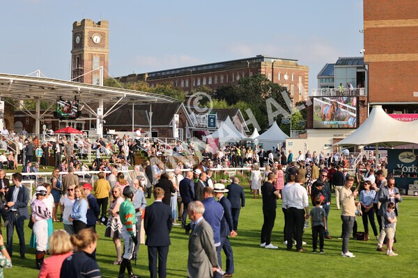 yr05092021r7-1 - Race 7 5.10pm Yorkshire Regiment Stakes