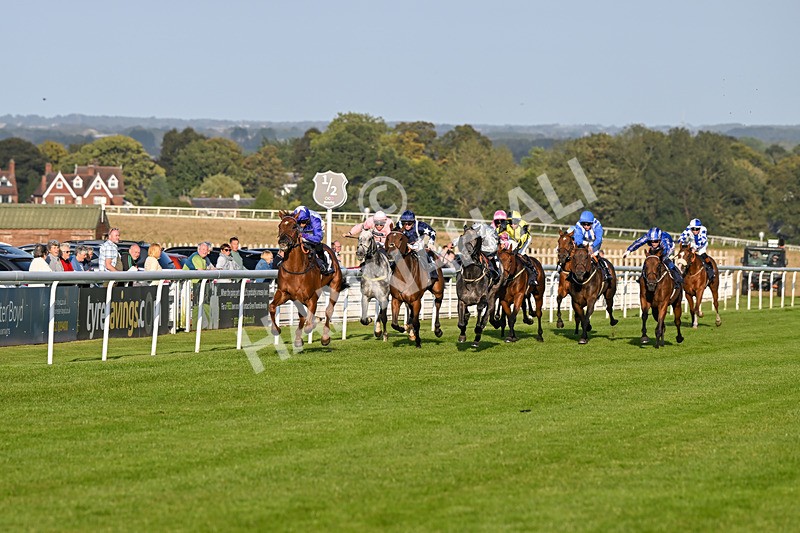 180924-Race 8-Inappropriate-5384 - Race 8