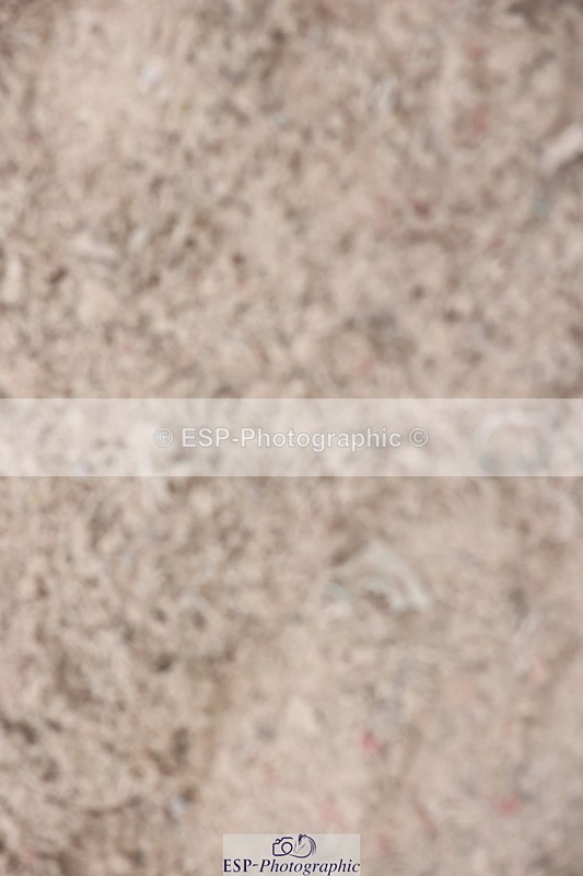 241101A-154030-03081 - FRI Cls 7 Blue Chip Grade B&C Jump Off