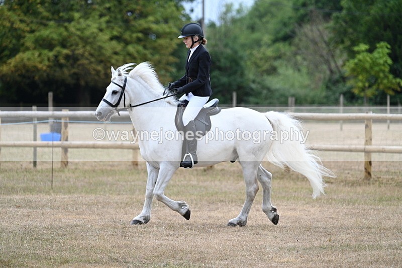 WJ7_0342 - Class 6 Ridden Mountain and Moorland
