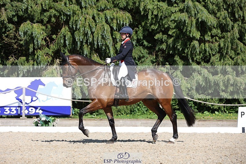 230526-160517-07750 - 168-PARKFIELD_ARTIE_BLOU-Laura_Collett-WEDTrotUp+DR