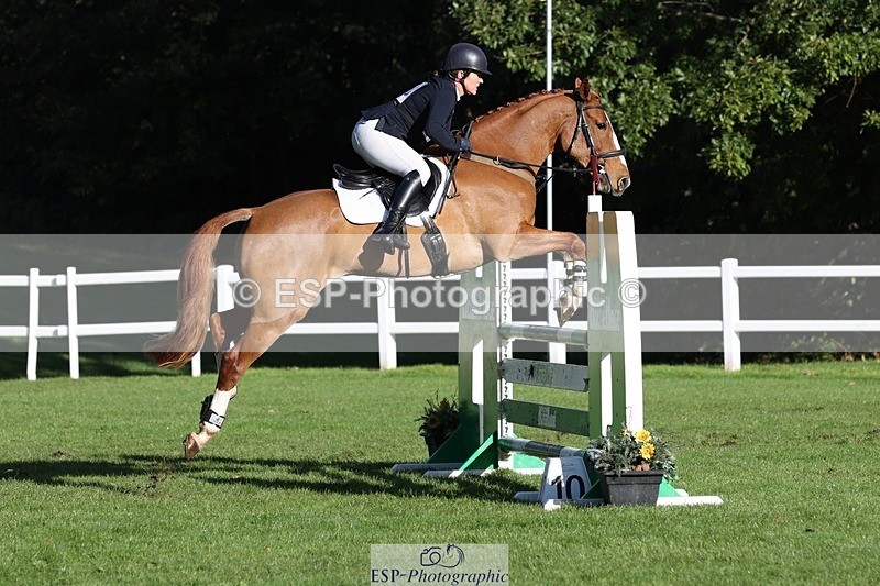 231022-103206-24589 - 606-GOLDEN.HEART.BREAKER-Emily.R.Vincent-TrotUp+SJ