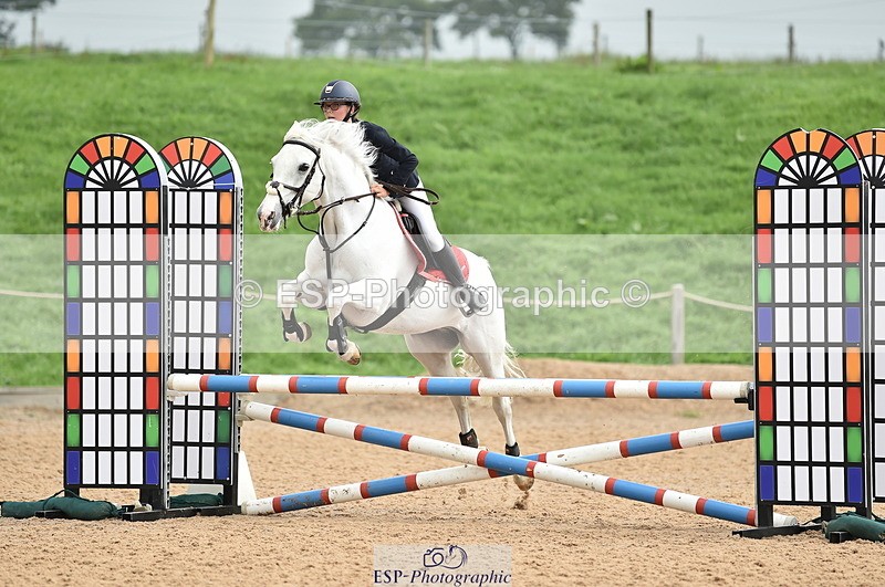 230902A-112342-00699 - Cls 2B Pony Small 80cm