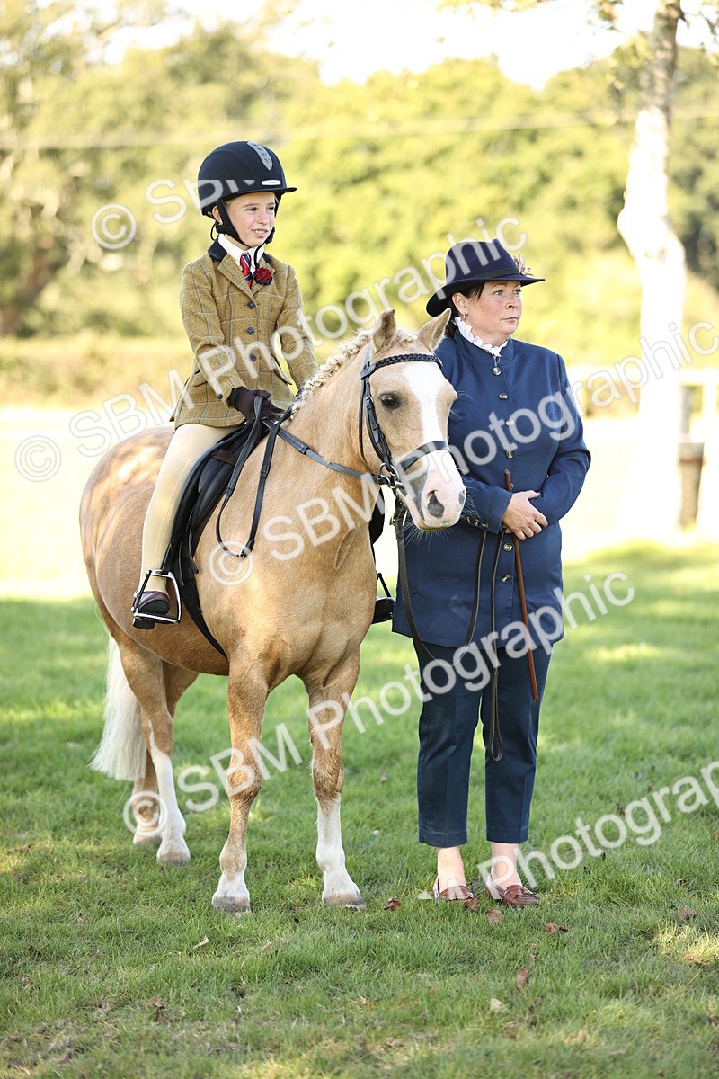SBM_19271 - S3 - TSR Ridden Pony Showing