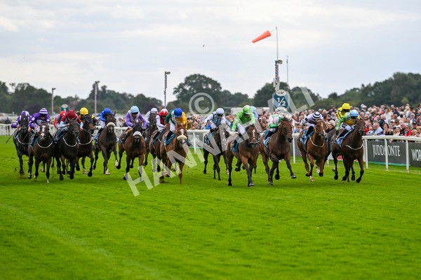210824-Race 1-Jm Jungle-4481 - Race 1 1.50pm Symphony Group Handicap
