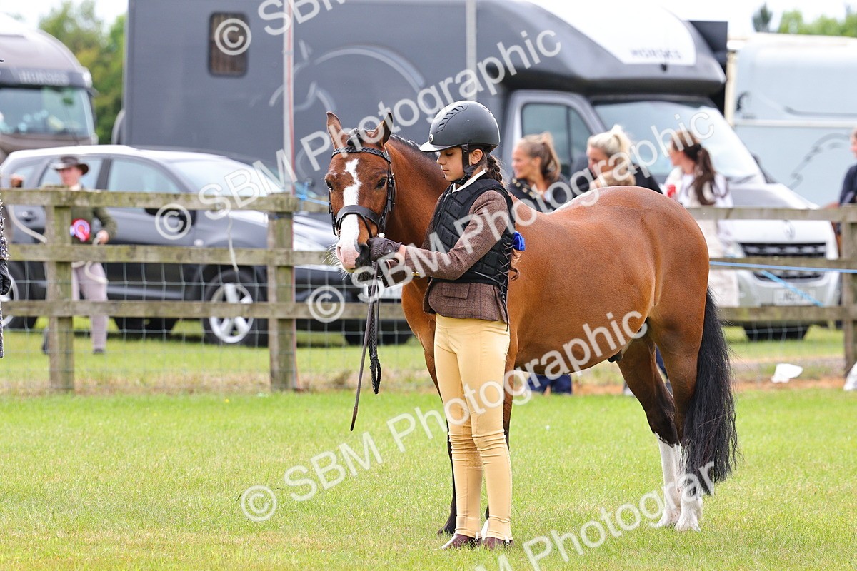 SBM_09600 - Class 44-45 - LIHS BSPS Open Nursery and Cradle Stakes
