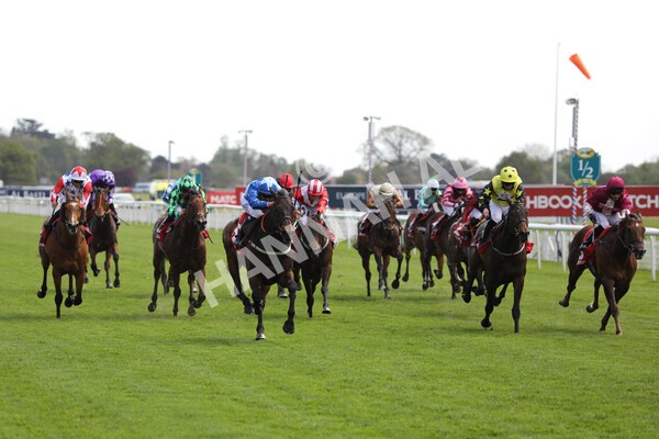  - Race 3 2.40pm The Matchbook Betting Podcast Hambleton Stakes