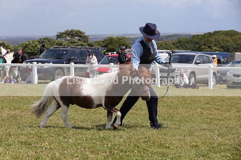1X9A4837 - Class 35: Veteran In Hand