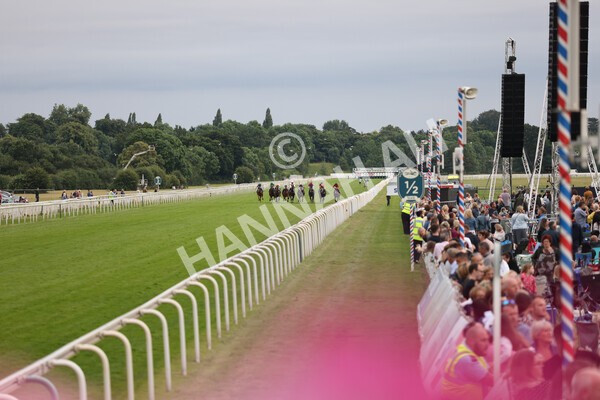 yr23072021r5-13 - Race 5 8.00pm Gallop Racing Stakes