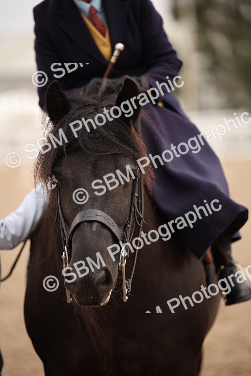 SBM_05395 - Class 22 SSA Equitation