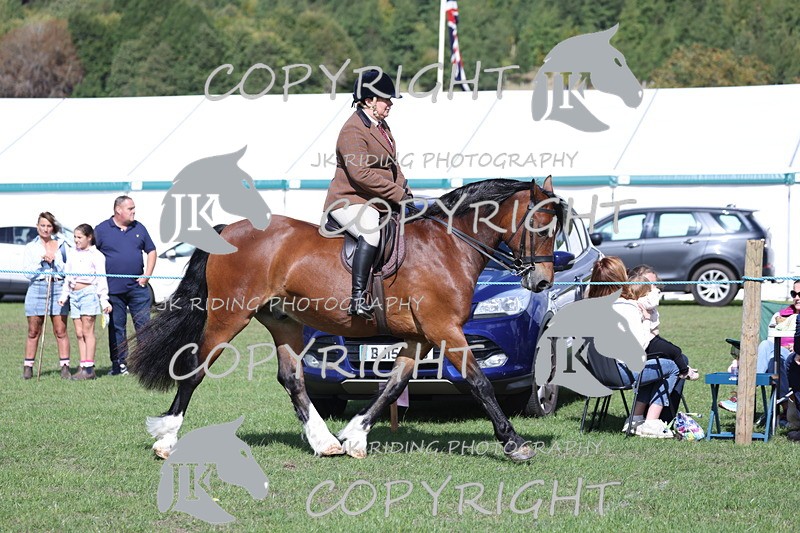 APP_3051 - Class 11 Veterans ridden