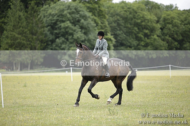 BVR160717-1553 - Ring 1 BVRC Show 16/07/17