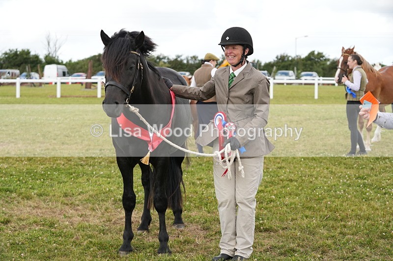 DSC05982 - NPS M&M In Hand Championship