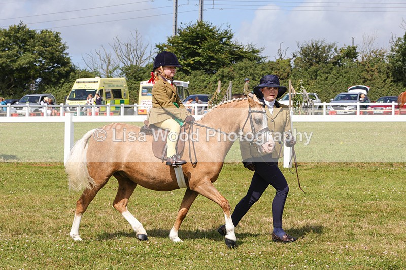 1X9A3707 - Class 29: Lead Rein SP/SHP