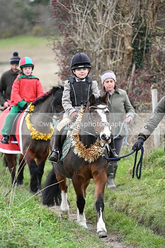 WJ7_0938 - First Seen