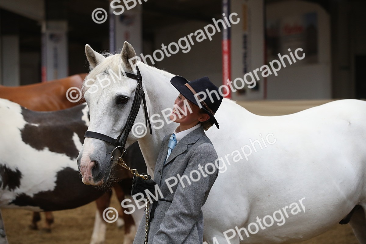 SBM_05688_Class9r - Regional - IH Pre Vet - Lily