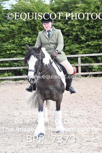 BPP_7373 - RING 1  (RIDDEN HORSES / IN HAND / VETERAN ETC)