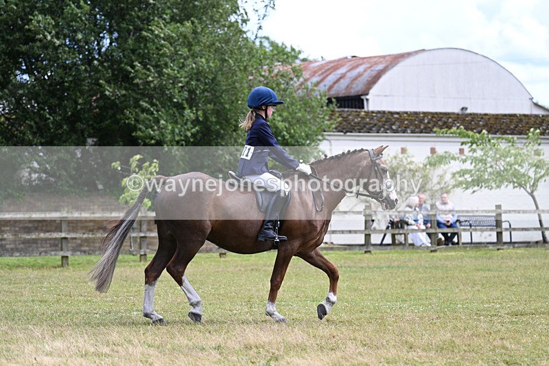 WJ7_9632 - Class 8 Ridden Veterans