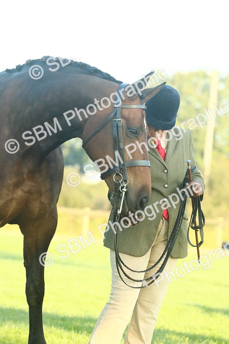 SBM_56665 - S36 - Starters Best Turnout