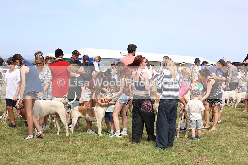 3E7A0224 - Parade of Hounds